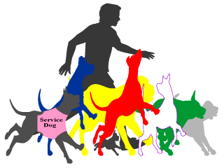 Service Dogs